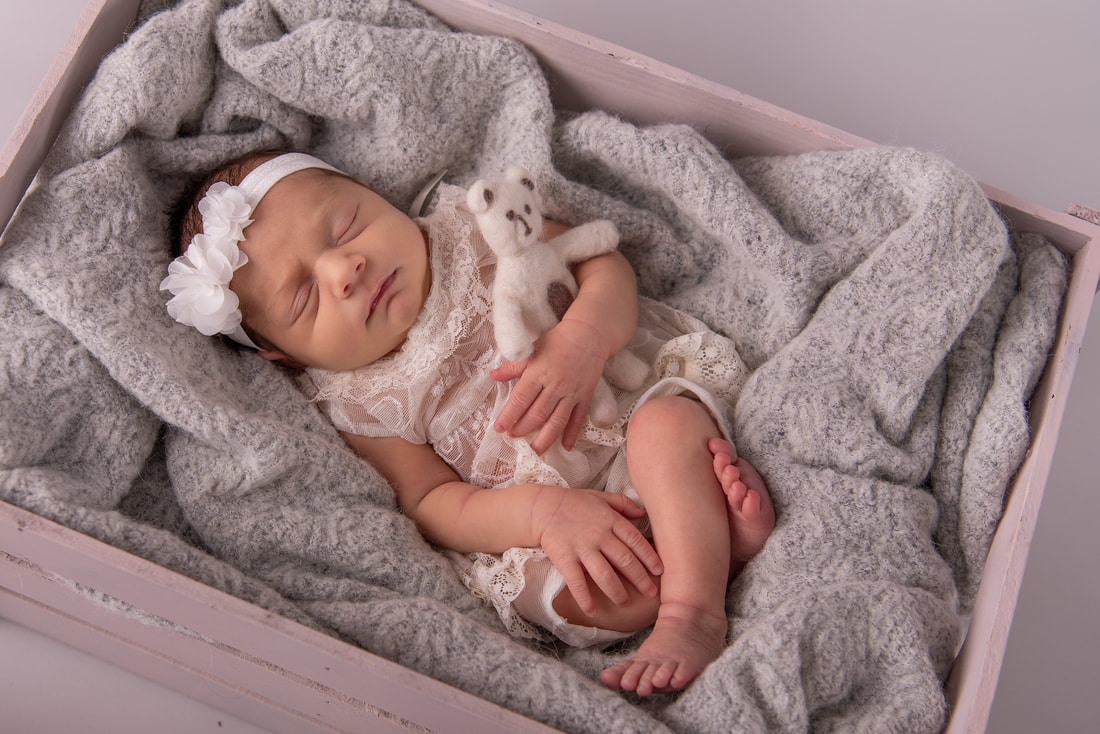 Infant-girl-laying-box-teddy-Saint John-photographerhotographer