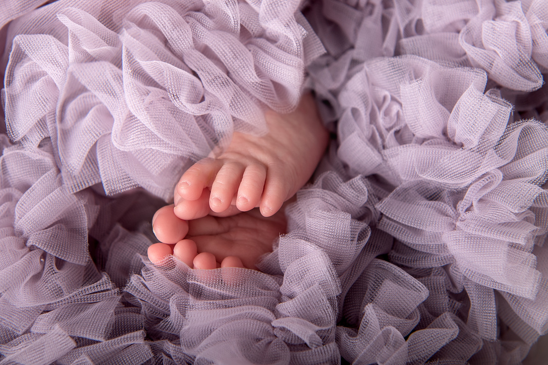 Candace snowdon photography-saint-john-photographer baby girl in purple